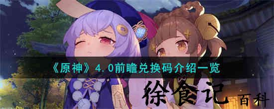 原神4.0前瞻兑换码是什么 原神4.0前瞻兑换码介绍一览